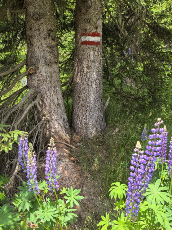 original 520534264 1323001663160927 2610485664279817930 n