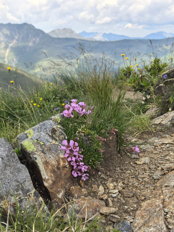 original 521063689 1323001719827588 873096122707589351 n