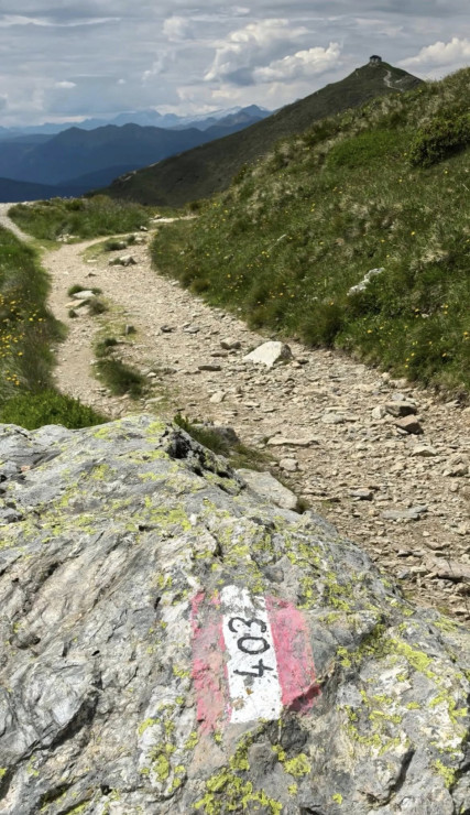 original 522638644 1324765829651177 1346583501916952867 n