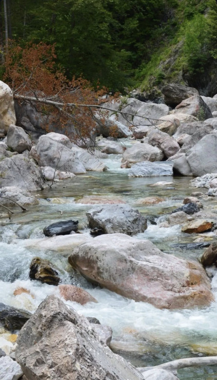 original 525576303 1333070222154071 7938453347853233080 n