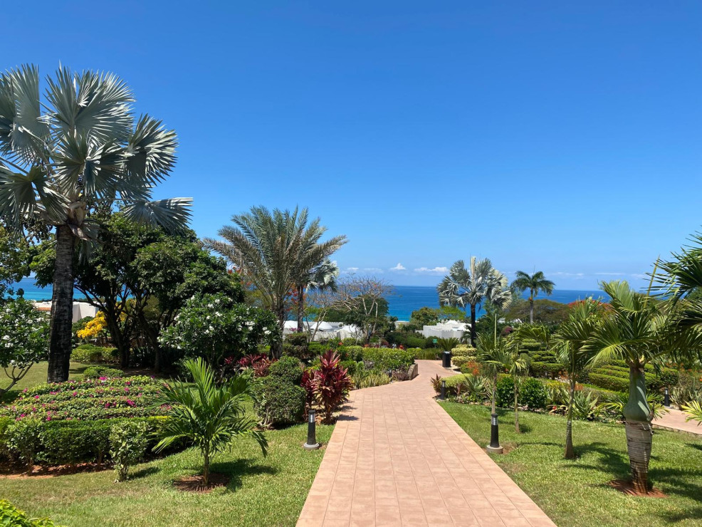 original WhatsApp Bild 2024-12-12 um 16 18 01 aedbd5e0