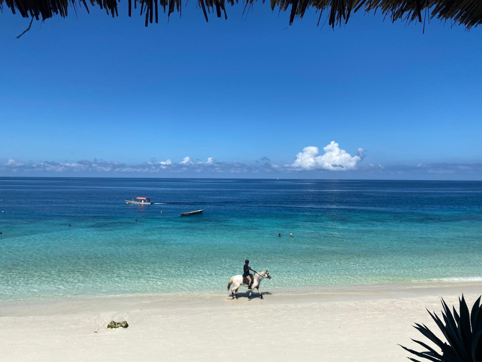 original WhatsApp Bild 2024-12-12 um 16 18 01 06c27a99