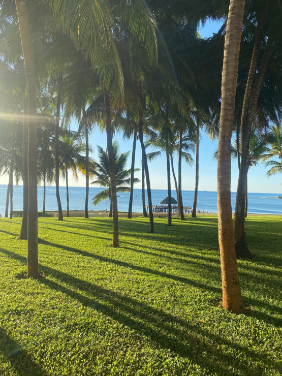 original WhatsApp Bild 2024-12-12 um 16 18 01 5ccc8db5