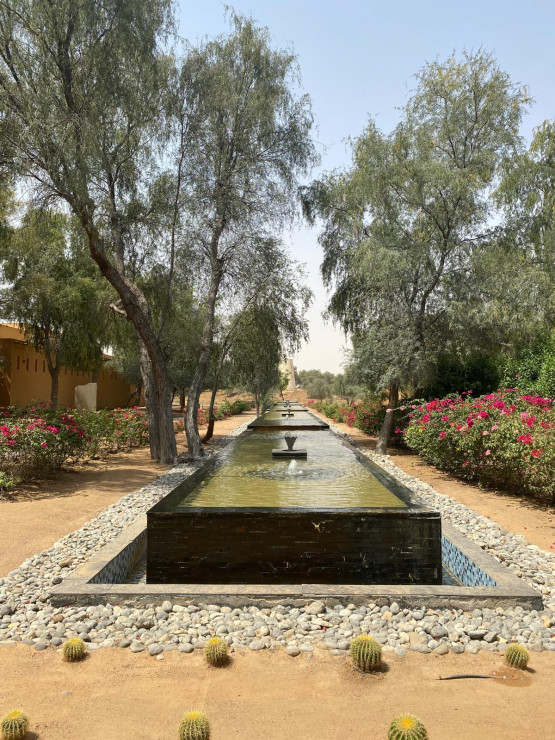 original WhatsApp Bild 2024-12-19 um 16 58 00 b9ce77dd