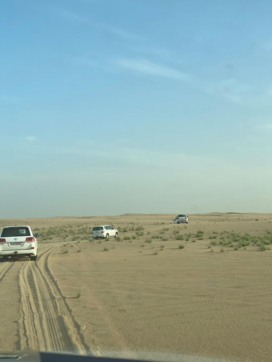 original WhatsApp Bild 2024-12-19 um 17 25 03 7a1f6c33 - Kopie