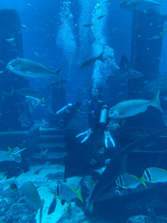 original WhatsApp Bild 2024-12-19 um 17 25 24 96b06edd