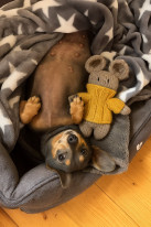 original 520836153 1325712452889848 6975458469092510615 n