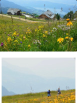 original 526796557 17951406344990812 3091920793880499053 n