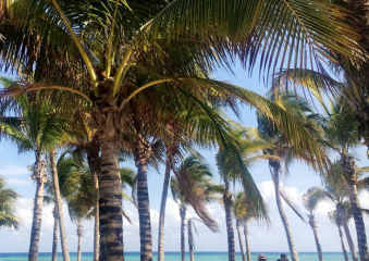Bild Viva Cuba Viva Mexiko Reisebericht